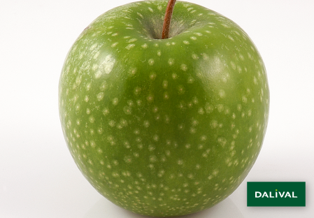 Apple - Apple tree - Dalival - GRANNY SMITH CHALLENGER DALIVAIR