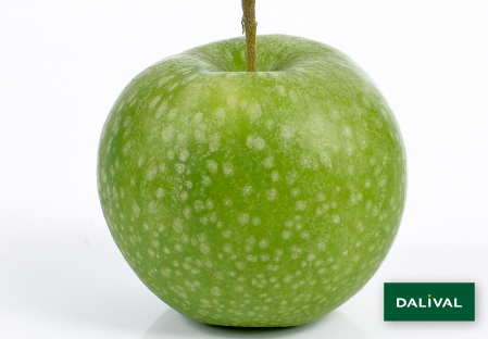 Apple - Apple tree - Dalival - GRANNY SMITH CHALLENGER DALIVAIR