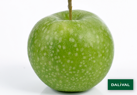 Variedad - Manzana - Manzano - Dalival - GRANNY SMITH CHALLENGER DALIVAIR