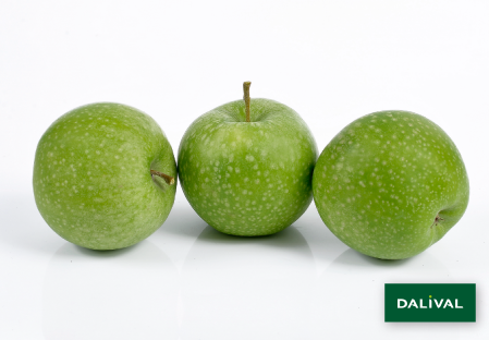 Variedad - Manzana - Manzano - Dalival - GRANNY SMITH CHALLENGER DALIVAIR