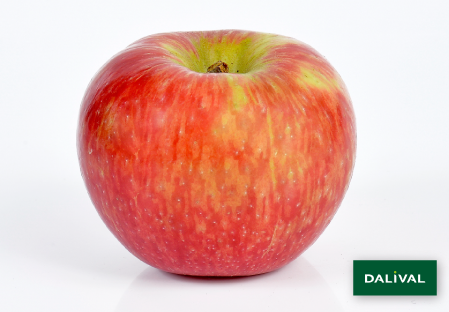 Variete pomme pommier Dalival HONEYCRUNCH HONEYCRISP COV