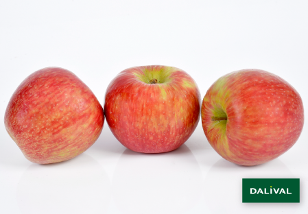 https://www.dalival.com/wp-content/uploads/2016/07/HONEYCRISP-LOGO-3.png