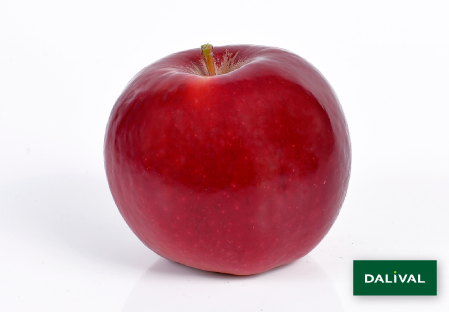 Variete pomme pommier Dalival RED IDARED