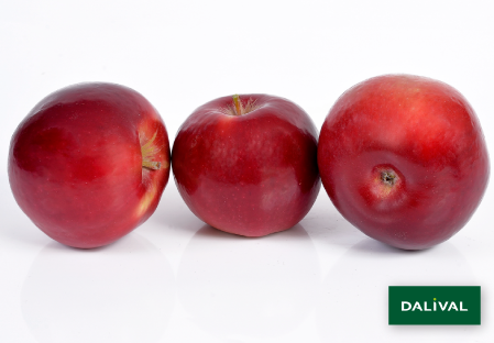 Apple - Apple tree - Dalival - RED IDARED