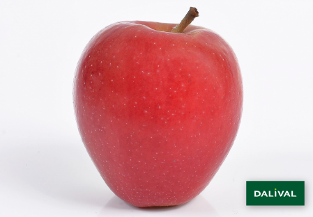 Apple - Apple tree - Dalival -  JAZZ SCIFRESH