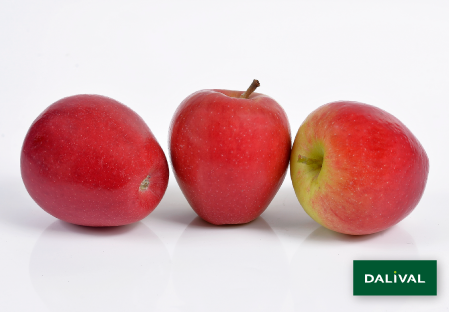 Apple - Apple tree - Dalival -  JAZZ SCIFRESH