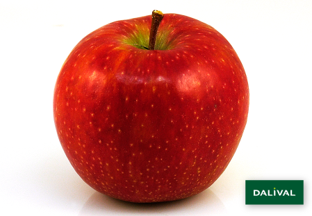 Apple - Apple tree - Dalival - DALIRYAN JONAGOLD