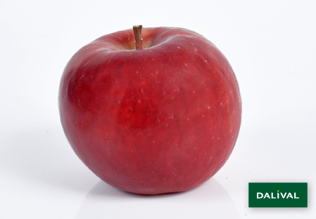 Odmiana - jablko - Dalival - LADINA