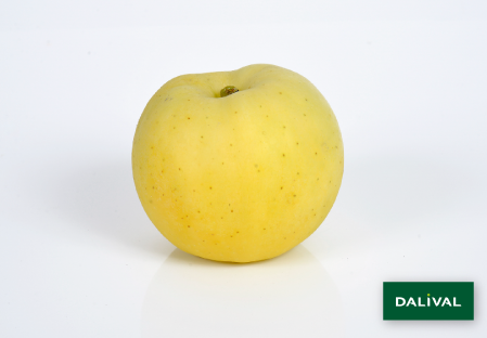 Variete pomme pommier Dalival LAFAYETTE