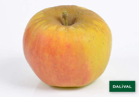 Apple - Apple tree - Dalival - OPAL UEB32642