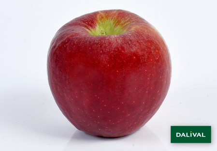 Apple - Apple tree - Dalival - PILOT DALIRENE