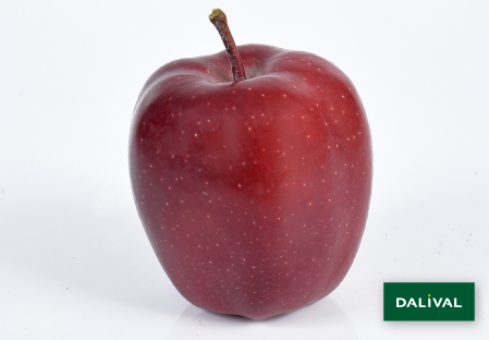 Apple - Apple tree - Dalival - SUPERCHIEF SANDIDGE COV