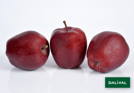 Apple - Apple tree - Dalival - SUPERCHIEF SANDIDGE COV