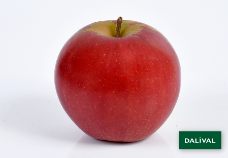 Apple - Apple tree - Dalival - RUBINETTE ROSSO RAFZUBEX