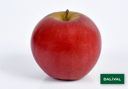 Variete pomme pommier Dalival RUBINETTE ROSSO RAFZUBEX