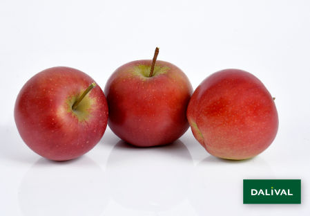 Apple - Apple tree - Dalival - RUBINETTE ROSSO RAFZUBEX