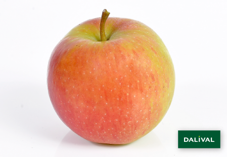 Variete pomme pommier Dalival SAPORA AW106