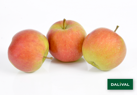Variete pomme pommier Dalival SAPORA AW106