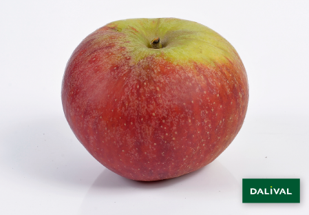 Apple - Apple tree - Dalival - SUNTAN