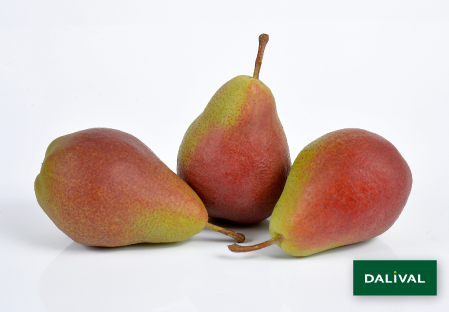 Pears - Dalival - CH201