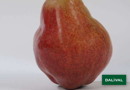 Pears - Dalival - Williams rouge Homored C.O.V