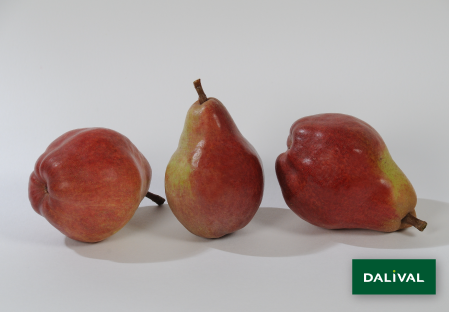 Pears - Dalival - Williams rouge Homored C.O.V