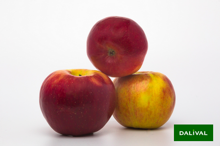 Variety - Apple - Apple tree - Dalival - RUSTICANA