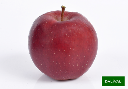 Apple  Apple tree Dalival Soprano