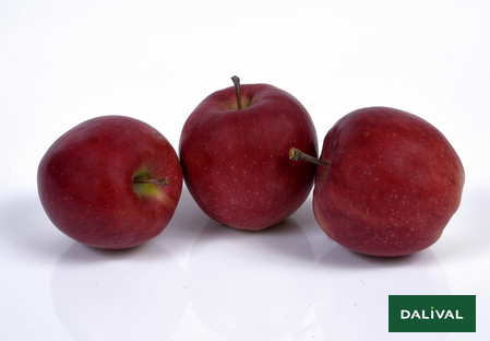 Odmiana - jablko - Dalival - MANDI INOLOV