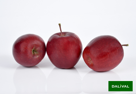 Odmiana - jablko - Dalival - Inobi