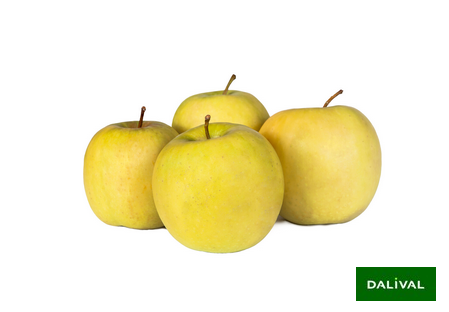 Variety - Apple - Apple tree - Dalival - Inogo