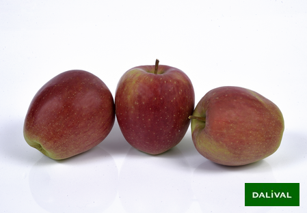 Variety - Apple - Apple tree - Dalival - NUVAR® NC2  STARDANCE®