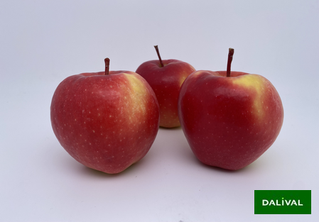 Sorte - Apfel -Apfelbaum   – Dalival - Tonik