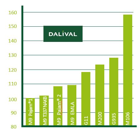 Rootstock M200 Dalival