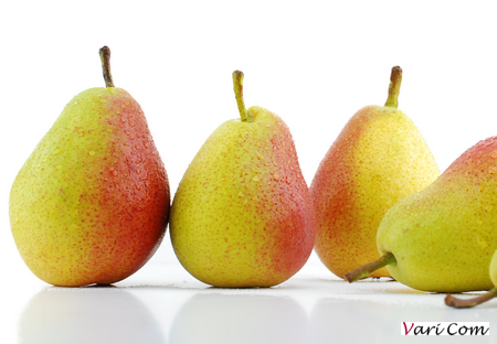 Pears - Dalival - CH201
