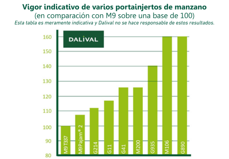 Portainjertos para manzanas  Geneva® G214